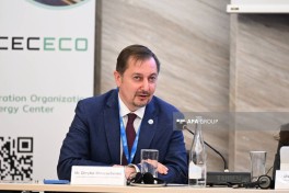 Bakı İqlim Fəaliyyəti Həftəsi çərçivəsində növbəti panel müzakirə keçirilib - FOTO 