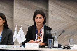 Bakı İqlim Fəaliyyəti Həftəsi çərçivəsində növbəti panel müzakirə keçirilib - FOTO 