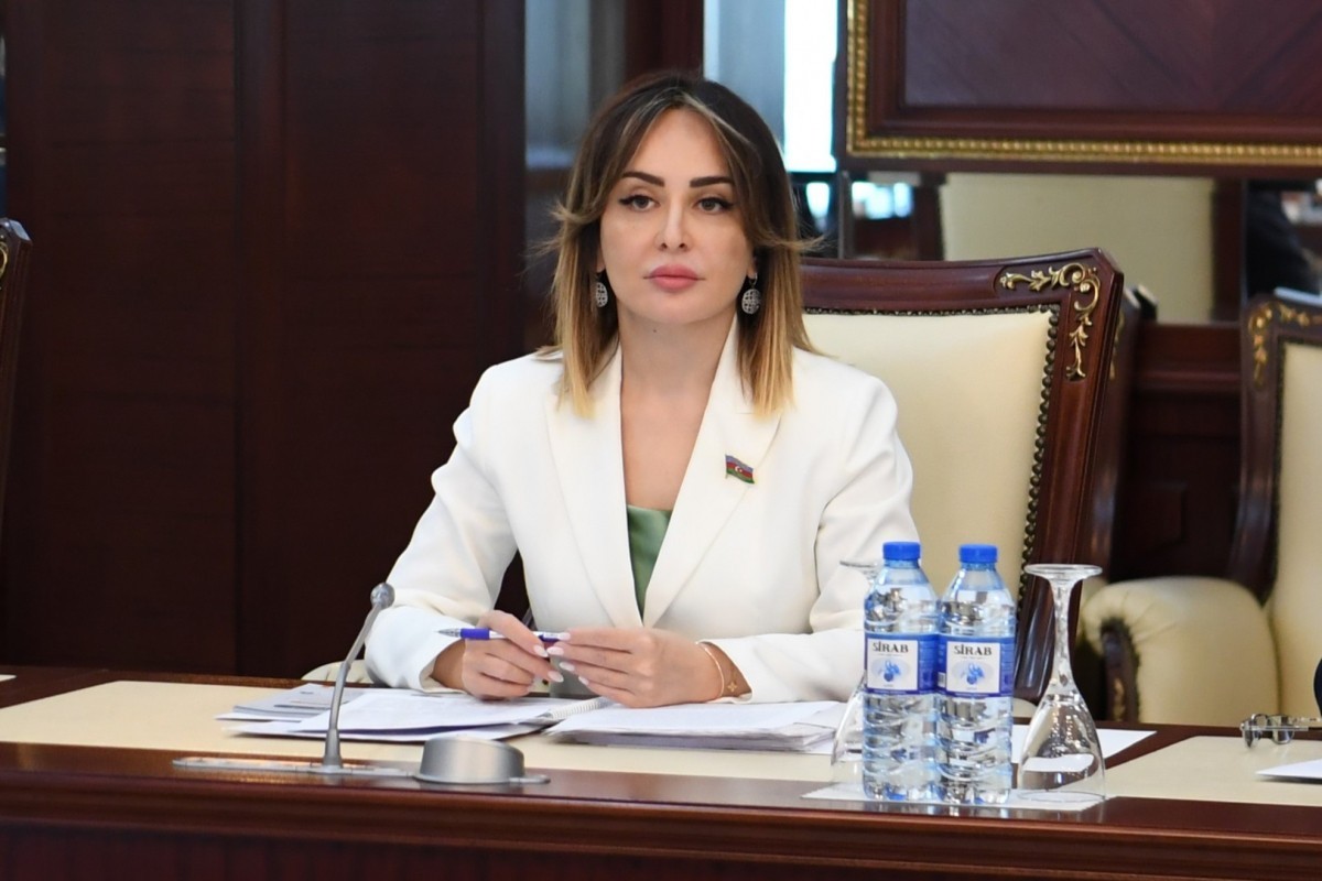 Nigar Məmmədova, Millli Məclisin deputatı