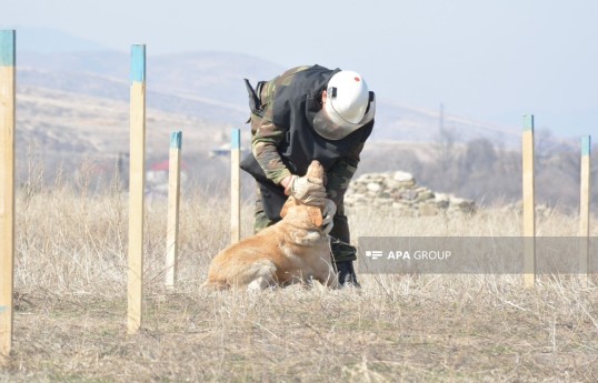 Azad edilmiş ərazilərdə daha 132 mina, 426 PHS aşkarlanıb
