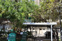 Bakıda güclü küləklərlə bağlı qabaqlayıcı tədbirlər görülür