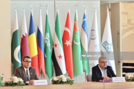 Beynəlxalq Bakuvi Konfransının bölmə iclasları keçirilib - FOTO 