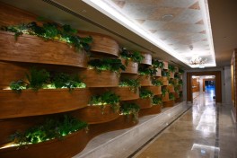 Şamaxıda “Pirqulu Park” hotelinin açılışı olub - YENİLƏNİB 