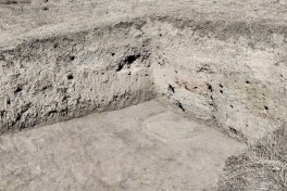 Cəlilabadın Xudutəpə yaşayış məskənində arxeoloji qazıntılara başlanılıb