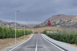 Şamaxıda “Nəsimi Bağları”nda 150 mindən çox ağac və bitki əkilib - FOTO 
