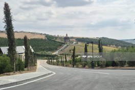 Şamaxıda “Nəsimi Bağları”nda 150 mindən çox ağac və bitki əkilib - FOTO 