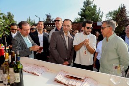 Şamaxıda Üzüm və Şərab Festivalının açılış mərasimi keçirilib - FOTO 