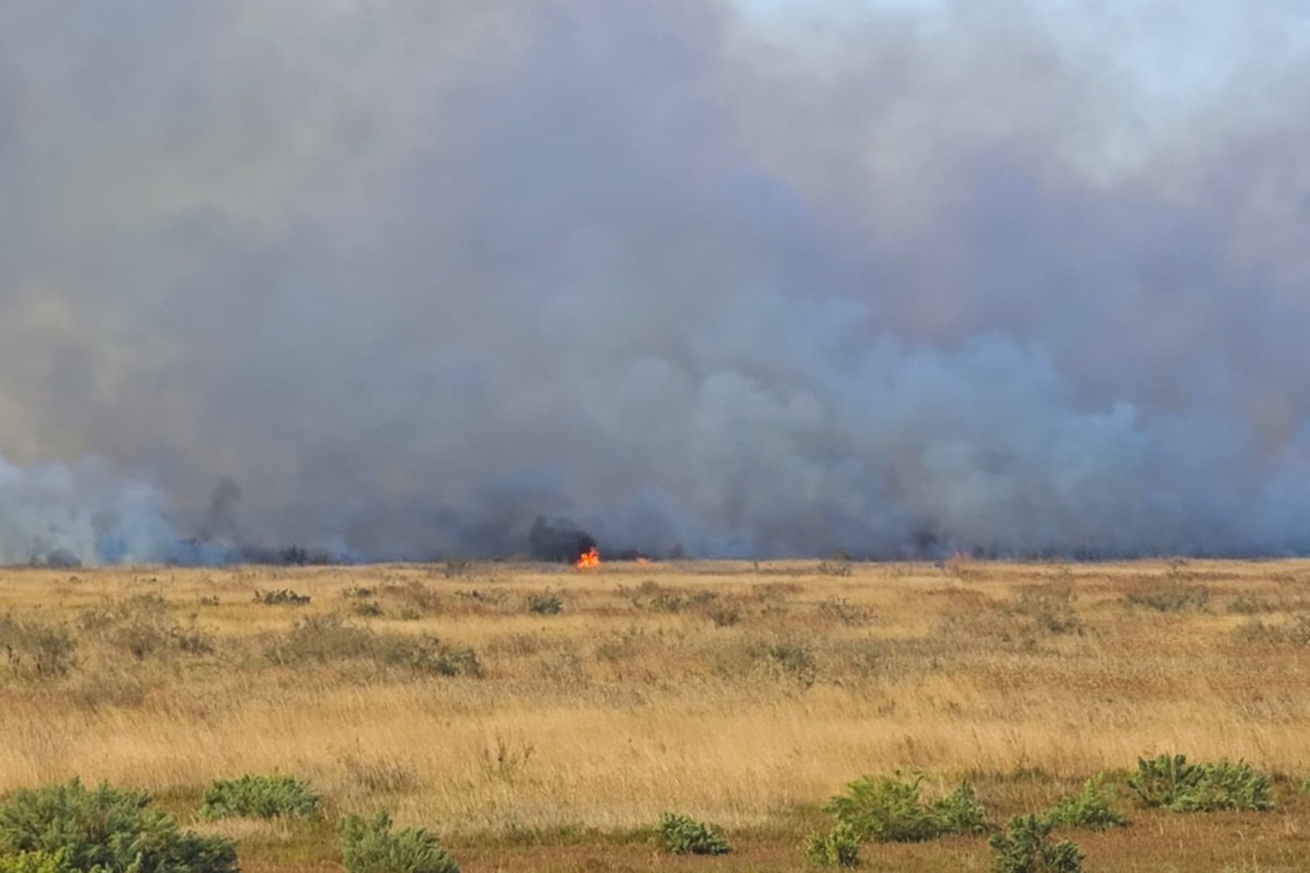 В Джалилабадском районе начался пожар на открытой местности — <span class="red_color">ФОТО — ОБНОВЛЕНО — ВИДЕО