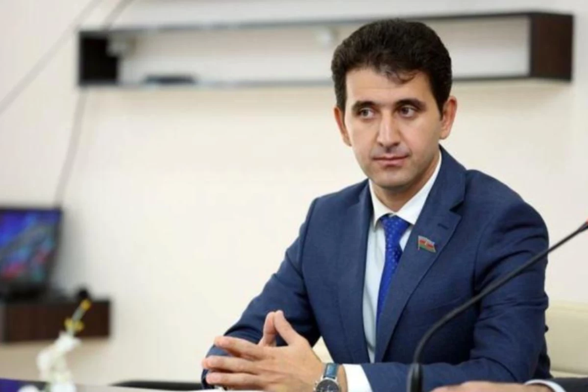 Naqif Həmzəyev, Milli Məclisin deputatı