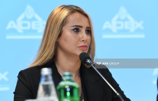Azərbaycan Müdafiə Sənayesi Nazirliyi Aparatının Beynəlxalq strateji əməkdaşlıq şöbəsinin müdiri Gülsüm Rzayeva
