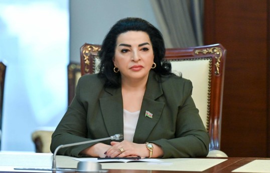 Fatma Yıldırım, Milli Məclisin Təbii ehtiyatlar, energetika və ekologiya komitəsinin sədr müavini