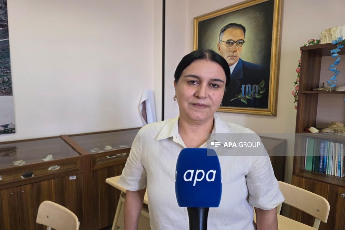 Naxçıvan Dövlət Universitetinin dosenti, kafedra müdiri Elnarə Seyidova