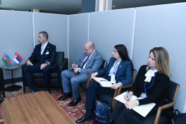 Ceyhun Bayramov Serbiyanın xarici işlər naziri ilə görüşüb