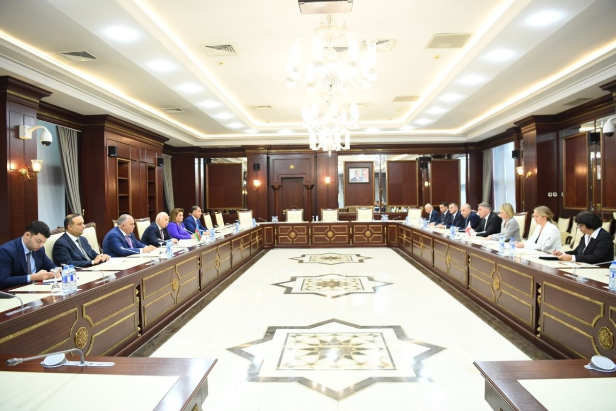 Prezidentin qanunu imzalamadan Milli Məclisə geri qaytarılmasına aydınlıq gətirilib