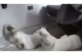 Milli Qəhrəman Çingiz Mustafayevin soyqırımı zamanı lentə aldığı Ləfxanım Mahmudova Xocalıya qayıdıb - FOTO  - VİDEO 