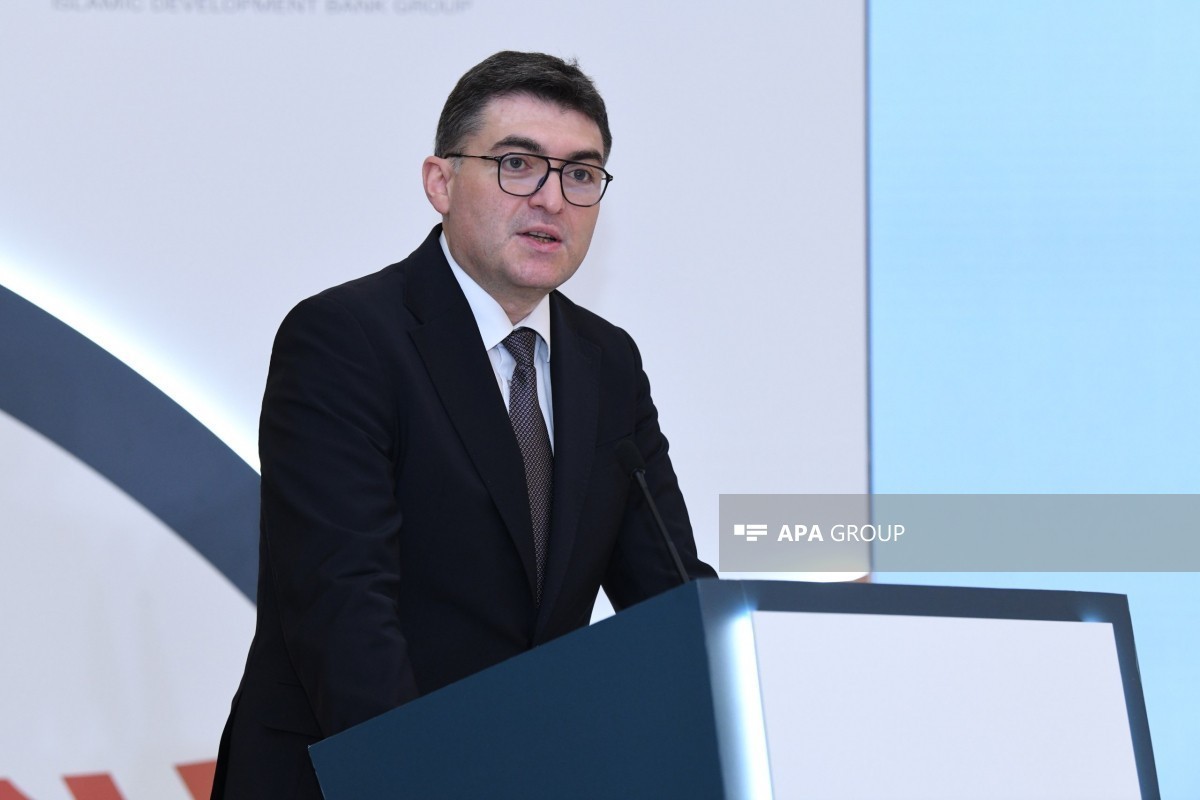 Orxan Zeynalov: Azərbaycan yaşıl enerji və enerji dəhlizlərinin inkişafına da xüsusi diqqət yetirir