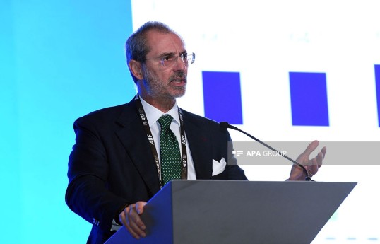 “The European House – Ambrosetti & TEHA Group”un icraçı direktoru Valerio De Molli