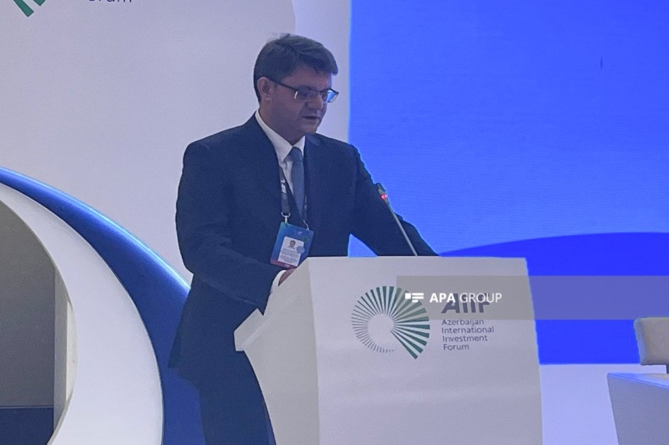 Nazir: Azərbaycan kritik mineral potensialını məsuliyyətlə inkişaf etdirməyə hazırdır