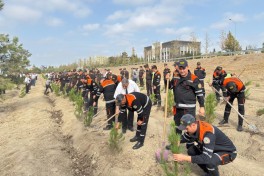 FHN-in strukturlarında Anım Gününə həsr olunmuş silsilə tədbirlər keçirilib