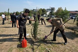 FHN-in strukturlarında Anım Gününə həsr olunmuş silsilə tədbirlər keçirilib