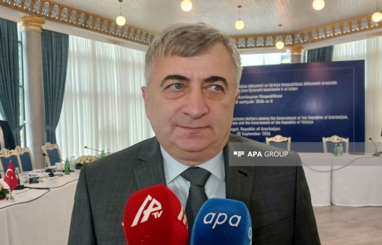 Gürcüstan Gəlirlər Xidmətinin rəhbəri, maliyyə nazirinin müavini Mamuka Barataşvili