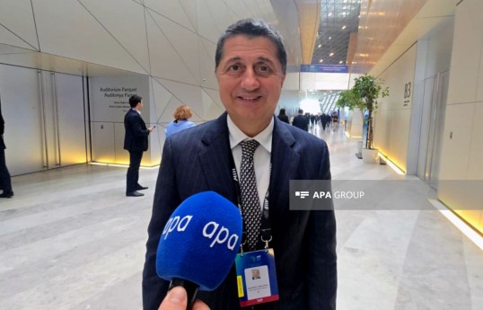 FSI-nin baş icraçı direktoru və idarəedici tərəfdaşı Maurizio Tamagnini