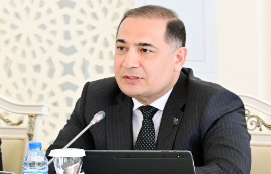 Azər Əmiraslanov, Milli Məclisin İqtisadi siyasət, sənaye və sahibkarlıq komitəsinin sədri